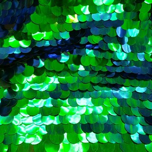 May include: Green iridescent sequins arranged in a scale pattern. The sequins are shiny and reflect light.