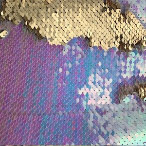 May include: Close-up of iridescent sequins in shades of gold, purple, blue, and white. The sequins are arranged in a pattern that resembles fish scales.