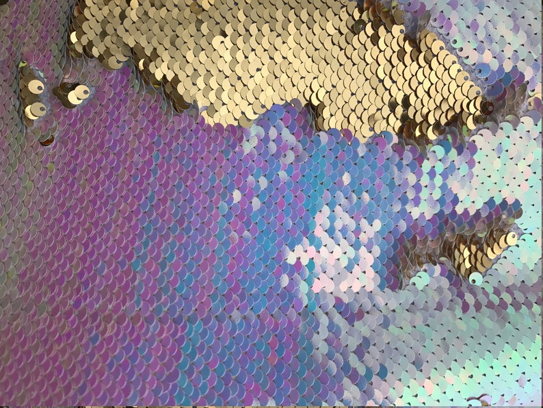 May include: Close-up of iridescent sequins in shades of gold, purple, blue, and white. The sequins are arranged in a pattern that resembles fish scales.