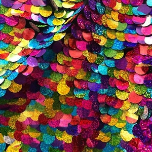 Puede incluir: Primer plano de una tela cubierta de lentejuelas iridiscentes. Las lentejuelas están dispuestas en un patrón de círculos superpuestos y son de varios colores, incluyendo rojo, naranja, amarillo, verde, azul, morado y rosa.