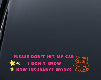 Please Don't Hit My Car - Vinyl Decal