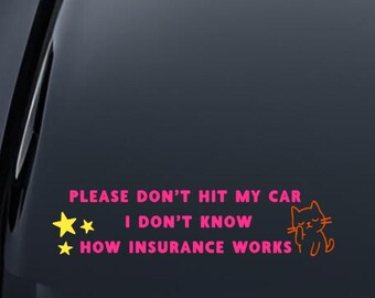 Please Don't Hit My Car - Vinyl Decal
