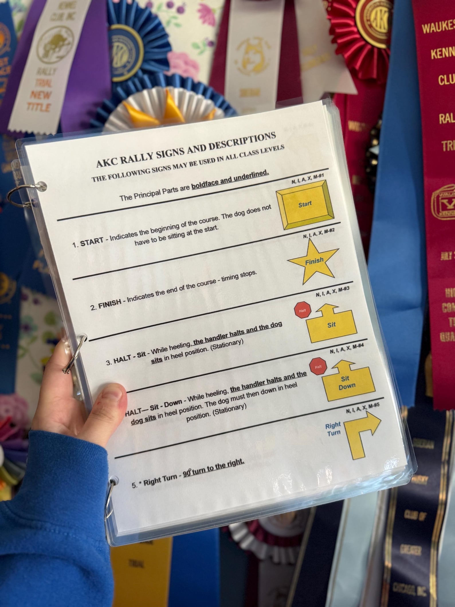 Large Font - AKC Rally Sign Descriptions and Tips Guide -FAST Shipping ...