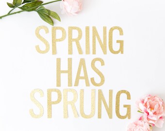 Spring Has Sprung Banner - Glitter Spring Banner, Easter Banner, Spring Party Decor, Spring Home Decor, Spring Decorations