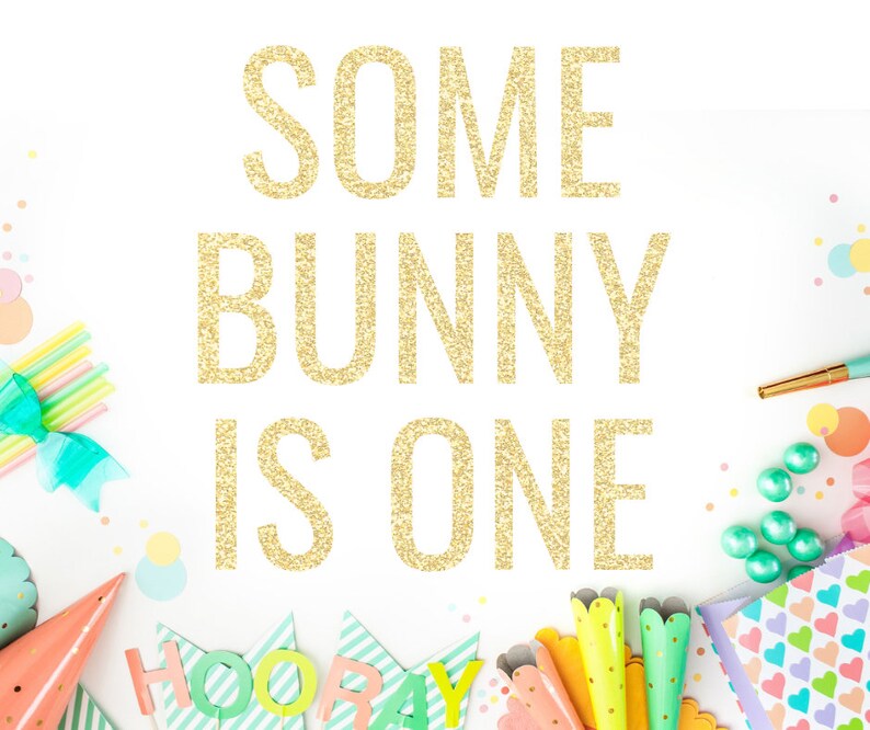 Some Bunny Is One Banner First Birthday Party Bunny Etsy