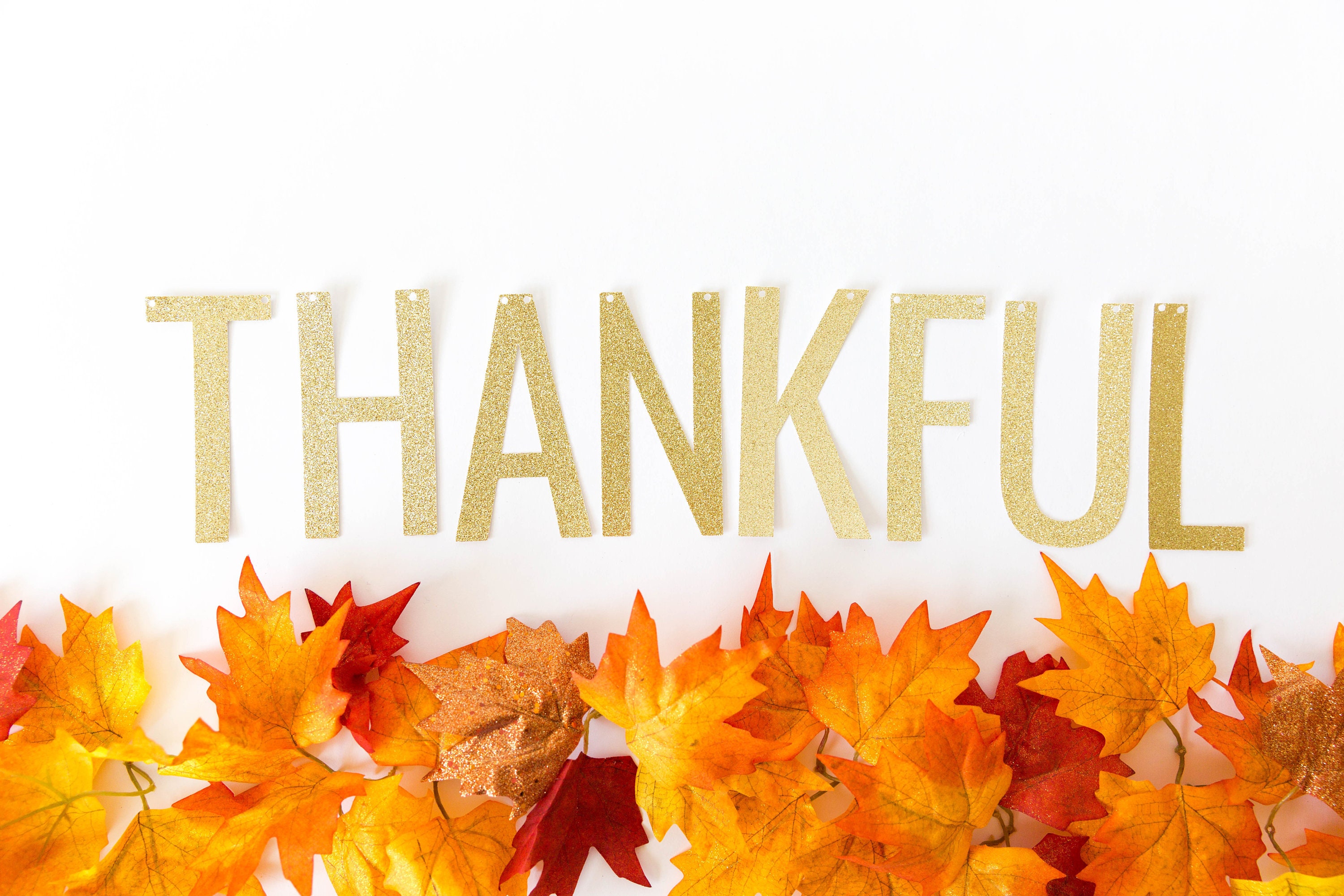Denver area restaurants open thanksgiving day