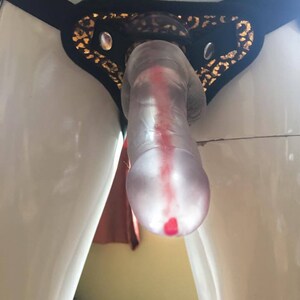 The Whisky Dick The 9 inch beverage dispensing strap on Great kinky fun for all occasions bdsm gay party butt plug MATURE image 3