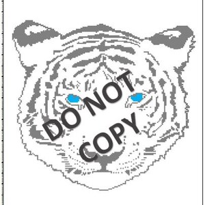 May include: A white tiger with blue eyes. The tiger's face is shown in close-up. The image is in black and white with the exception of the tiger's eyes.