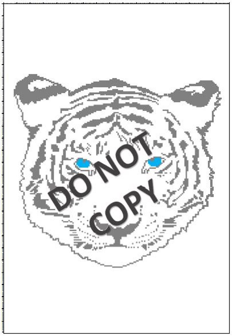 May include: A white tiger with blue eyes. The tiger's face is shown in close-up. The image is in black and white with the exception of the tiger's eyes.