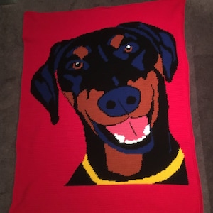 Dobermann Decke - GRAPH PATTERN ONLY