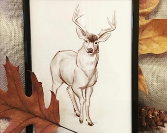 Deer Wall Art, Printable Art, Black-tailed Deer, Oregon Wildlife, Deer Drawing, Woodland, Buck