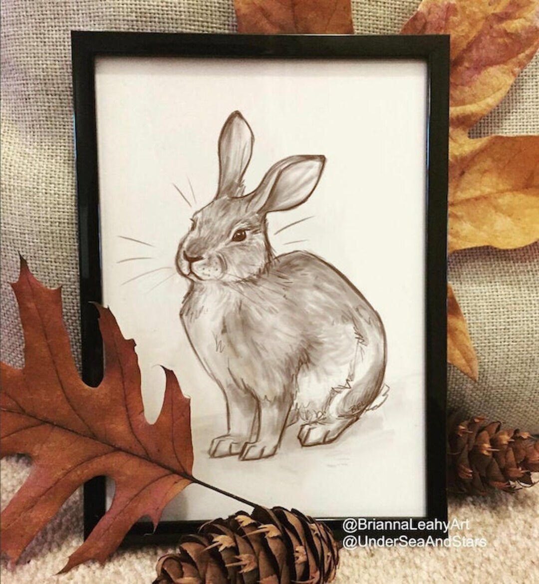 Rabbit Wall Art Brush Rabbit Printable Art Oregon Wildlife Etsy