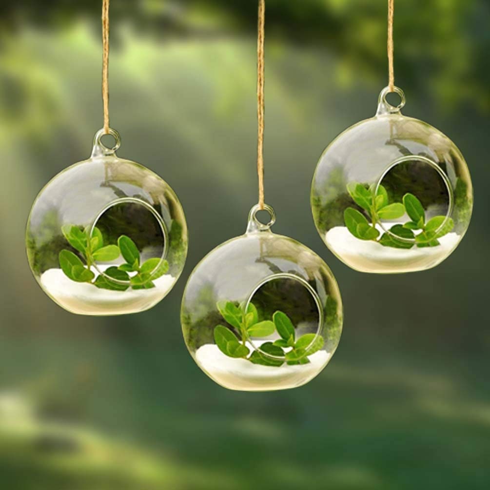 Pack of 2 Hanging Round acrylic glass Terrarium with String Etsy