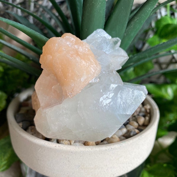 Large AAA+ HIGH GRADE Natural Apophyllite and peach Stilbite Crystal cluster, Raw specimen.