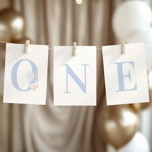 One Silly Goose Boy High Chair Birthday Banner, First Birthday Gingham Garland Template , Silly Goose Birthday, Canva Instant Light Blue