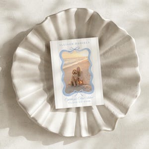 May include: A graduation announcement card featuring a photograph of a person and a dog on a beach, framed by a light blue border with bow accents. The card has vertical stripes and text that reads "Allison Daniels" and "Oglethorpe High School CLASS OF 2026."
