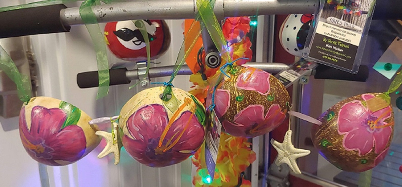 Nan's Nuts Mermaid Coconut Bras Etsy