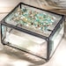 see more listings in the Glass Boxes section