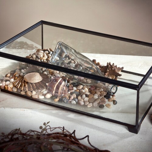 Display Box Clear Glass Case Decorative Keepsake Wedding Gift Etsy