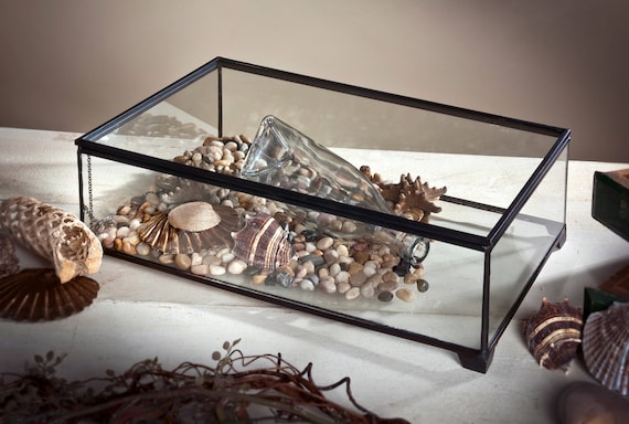 Display Box Large Clear Glass Case Decorative Keepsake Wedding Etsy