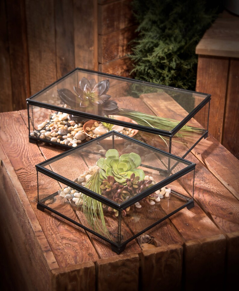 Display Box Clear Glass Case Decorative Keepsake Hinged Lid Etsy