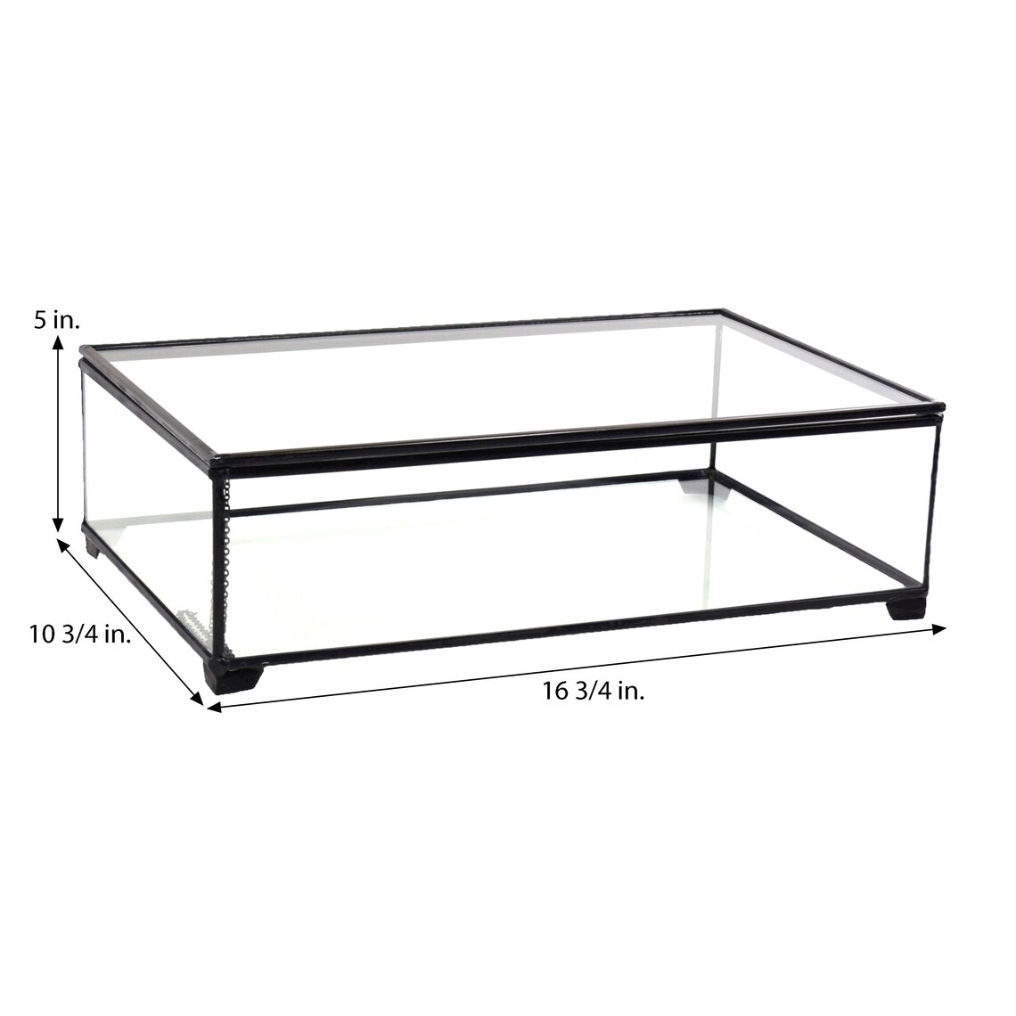 Display Box Large Clear Glass Case Decorative Keepsake Wedding Etsy