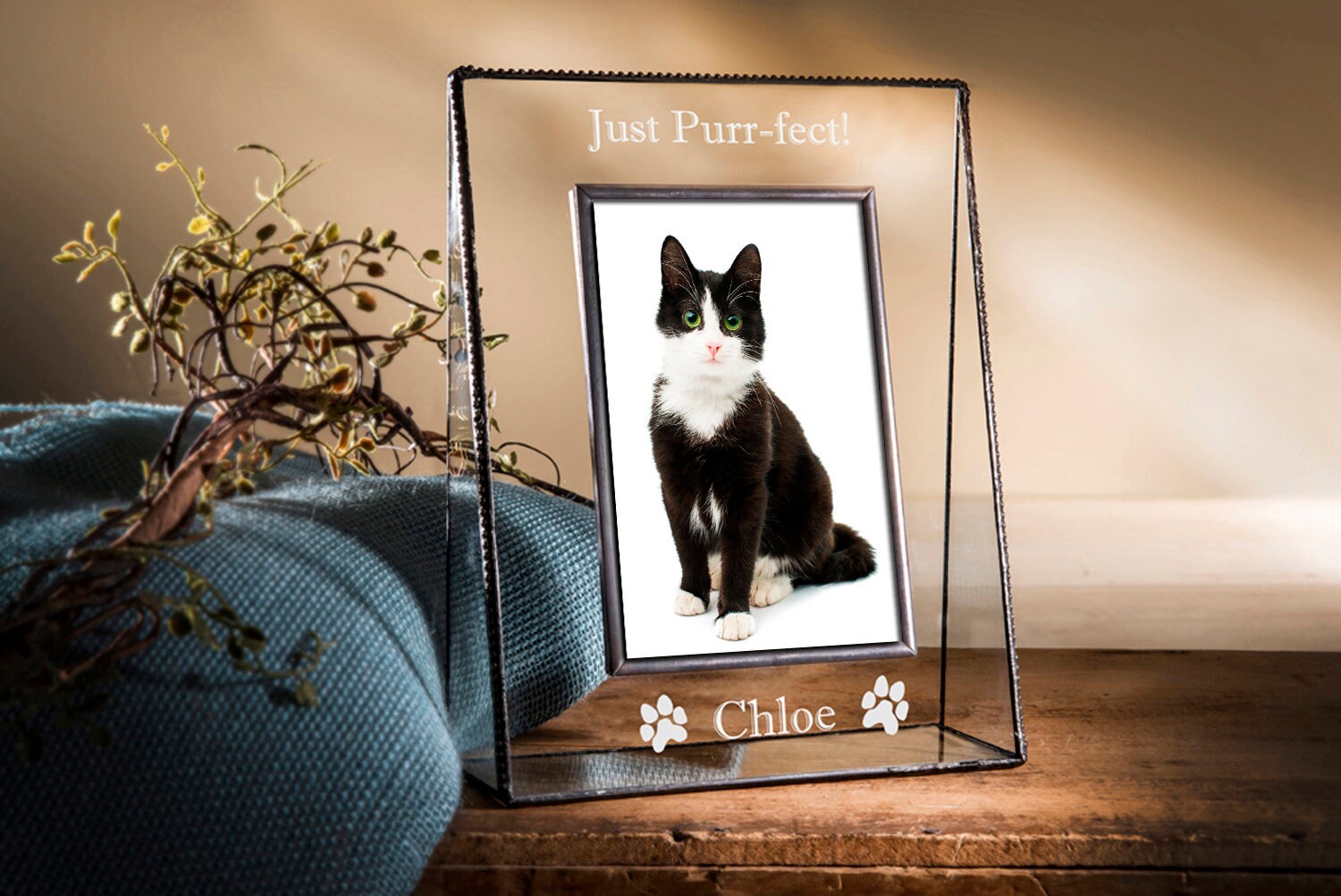 Cat Frame Personalized Pet Picture Frame Custom Laser Engraved Etsy