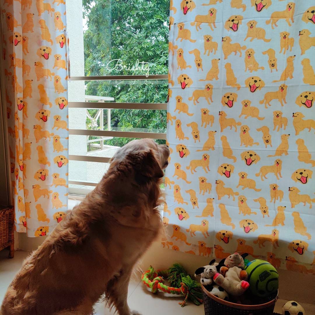 Hundeliebhaber Golden Retriever Flächenvorhang für Fenster und Türen - individualisierbar