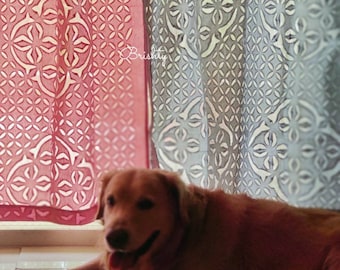 Applique curtain