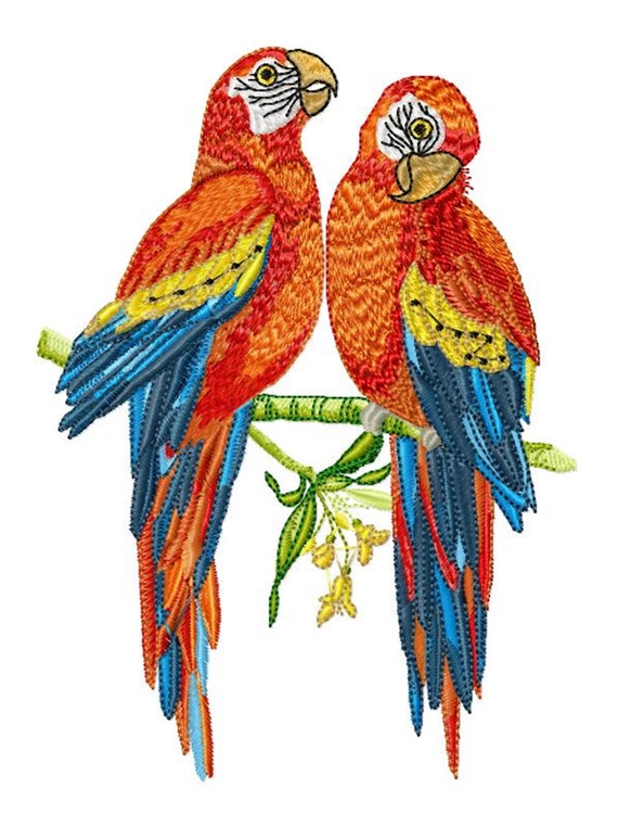 PARROTS Single Machine Embroidery Design for 5x7 Hoop Etsy
