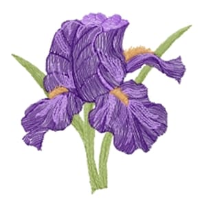 Puede incluir: Una flor de iris púrpura con tallos y hojas verdes. La flor tiene una apariencia delicada y texturizada.