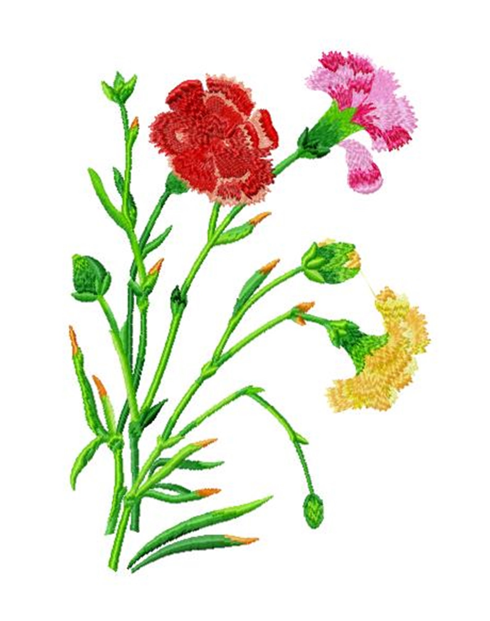 CARNATIONS Single Machine Embroidery Design for 6x10 Etsy