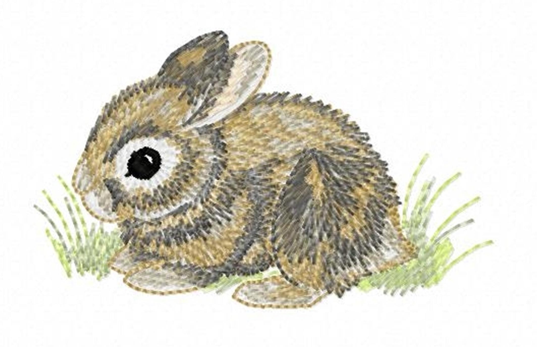 Standing Rabbit Embroidery Design BUNNY RABBIT - Single Machine Embroidery Design for 4x4