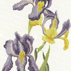 Può includere: Immagine ricamata di tre fiori di iris viola con centri gialli e steli verdi su uno sfondo bianco.