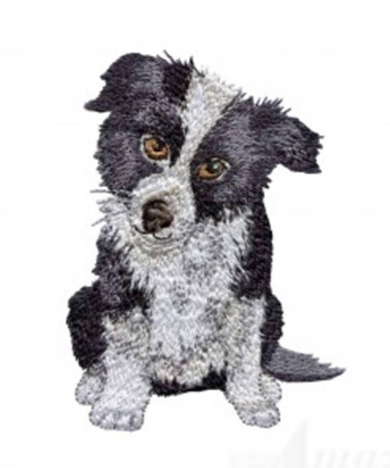 Border collie puppy machine embroidery design dog pet  etsy