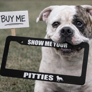 Pittbull "Muéstrame tus Pitties" - Marco de matrícula negro - Cantidad 2 (un par) Me encantan mis pitbulls Mueve la cola