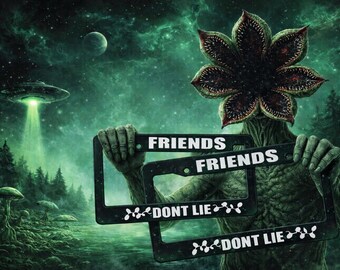 Friends Don't Lie - zwart verschillende kleuren auto nummerplaatlijst - aantal: 2 - alien eng