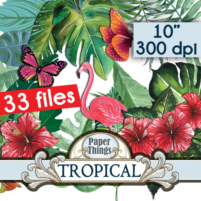 Leaves Clip Art Tropic Plants Jungle Plants P1 Palm Leaves Watercolor Clipart Instant Download Sheet 33 Tropical Clipart Pack