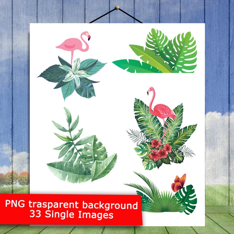 Leaves Clip Art Tropic Plants Jungle Plants P1 Palm Leaves Watercolor Clipart Instant Download Sheet 33 Tropical Clipart Pack