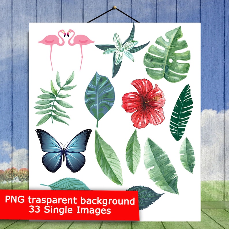Leaves Clip Art Tropic Plants Jungle Plants P1 Palm Leaves Watercolor Clipart Instant Download Sheet 33 Tropical Clipart Pack