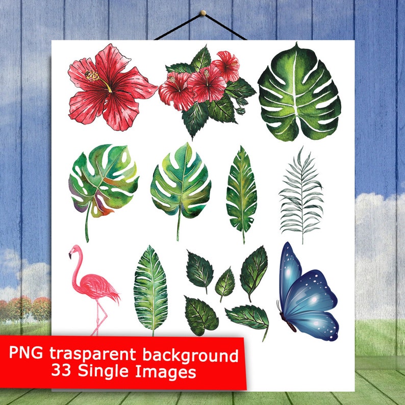 Leaves Clip Art Tropic Plants Jungle Plants P1 Palm Leaves Watercolor Clipart Instant Download Sheet 33 Tropical Clipart Pack