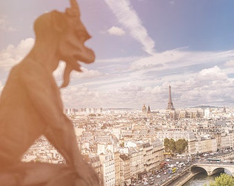Francia, París, Notre Dame, fotografía de París, fotografía de la Torre Eiffel, Notre Dame fotografía, impresión de París, bellas artes #059f