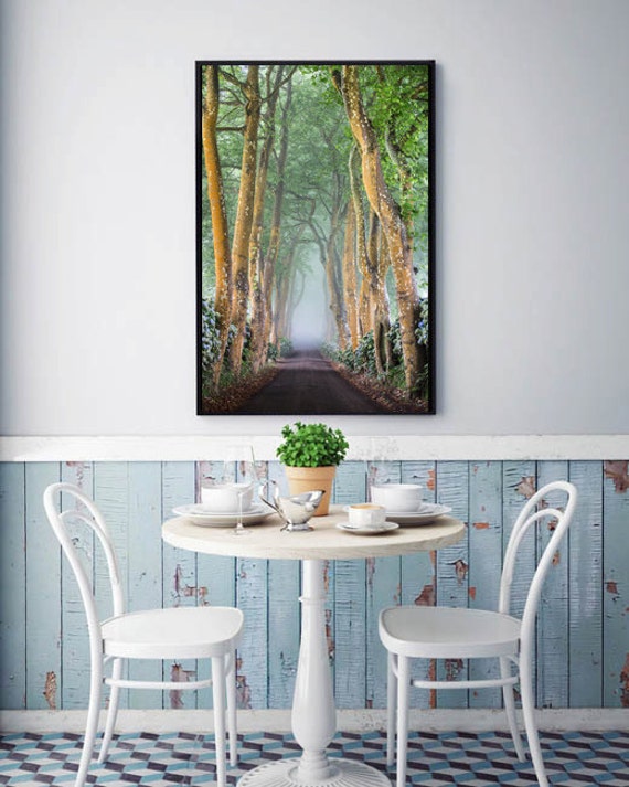 Nature, Nature Photography, Nature Print, Large Wall Art Print