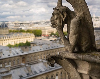 France, Paris, Notre Dame, Paris photography, panorama, Notre Dame photography, Paris print, Paris decor, wall art, fine art #058