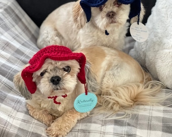 Hand Knit Dog Hat - Paws and Reflect Hat