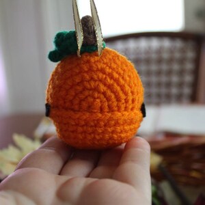 May include: A small crocheted pumpkin with a green stem and gold accents. The pumpkin is orange and has a textured surface.