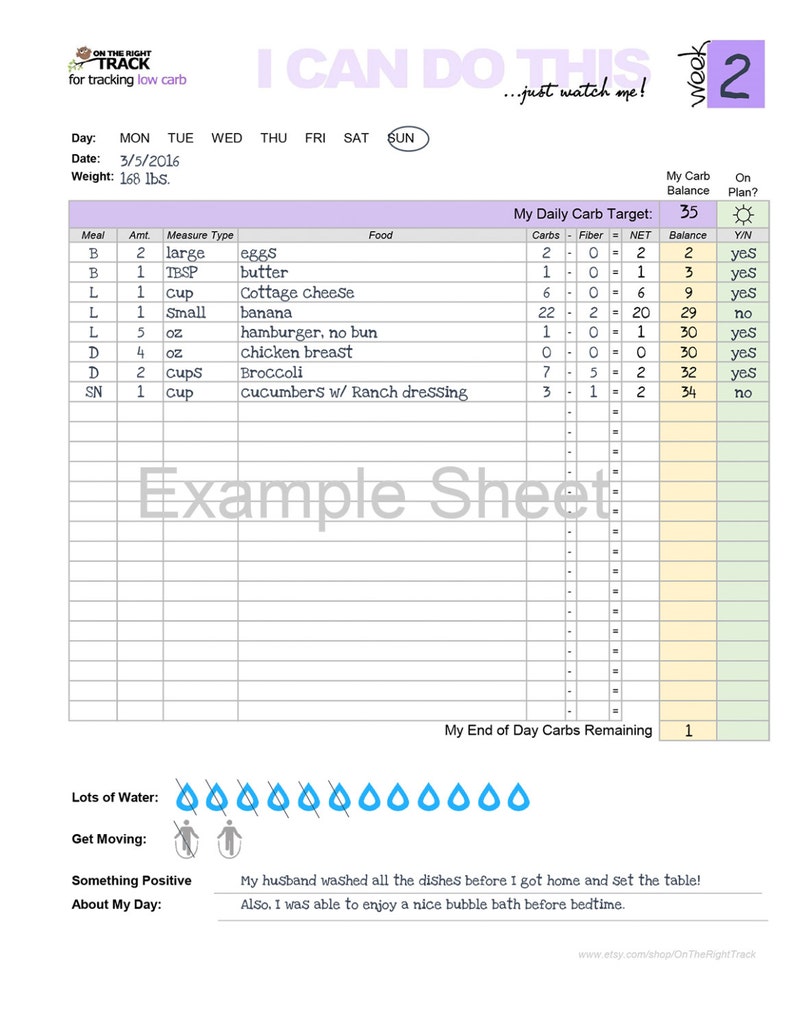 Daily Food Tracking Sheet For Low Carb Keto Etsy