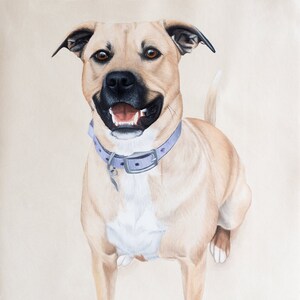 Custom Pet Portrait Oil Painting - Solid Color Background