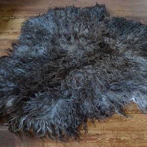 Norske Spaelsau coat
