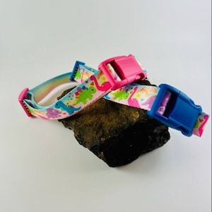 Dinosaur Dog Collar, leash and key fob/SBDM/